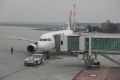 Airbus A319-111